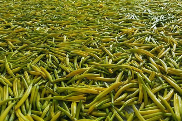 無硫金針菜烘干如何保持品相？不發(fā)黑？