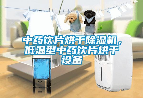 中藥飲片烘干除濕機，低溫型中藥飲片烘干設(shè)備