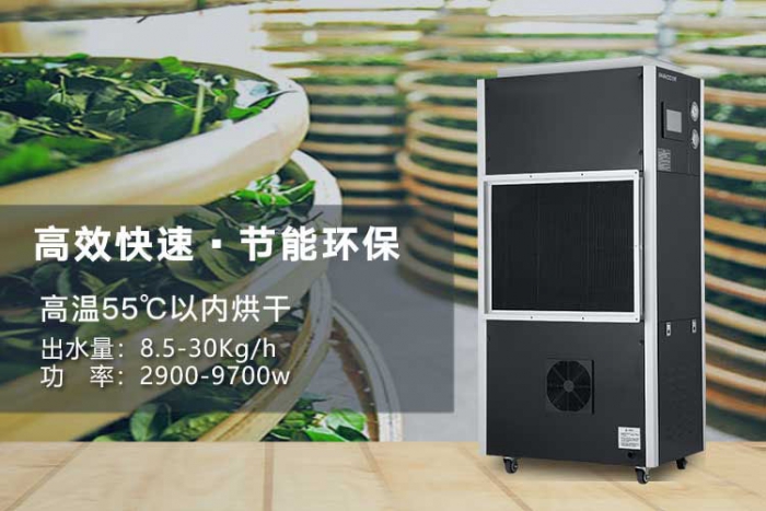 夏天來了，記得祛濕哦