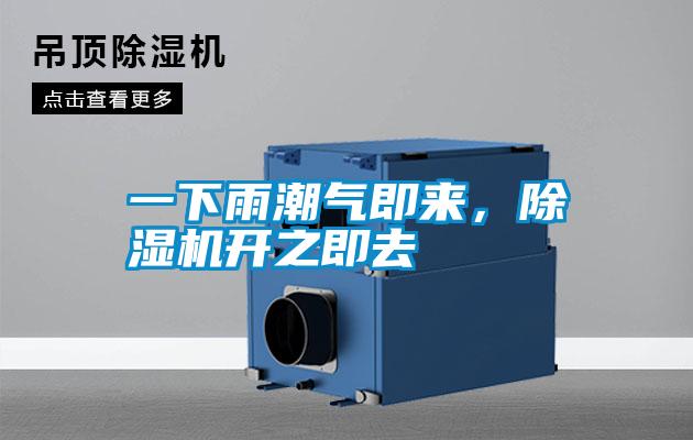 一下雨潮氣即來，除濕機開之即去