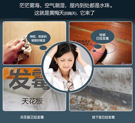 梅雨季，除濕機助你除潮去濕