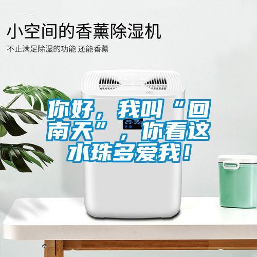你好，我叫“回南天”，你看這水珠多愛我！