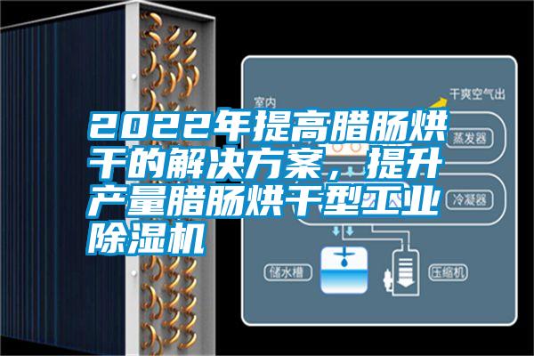 2022年提高臘腸烘干的解決方案，提升產(chǎn)量臘腸烘干型工業(yè)除濕機