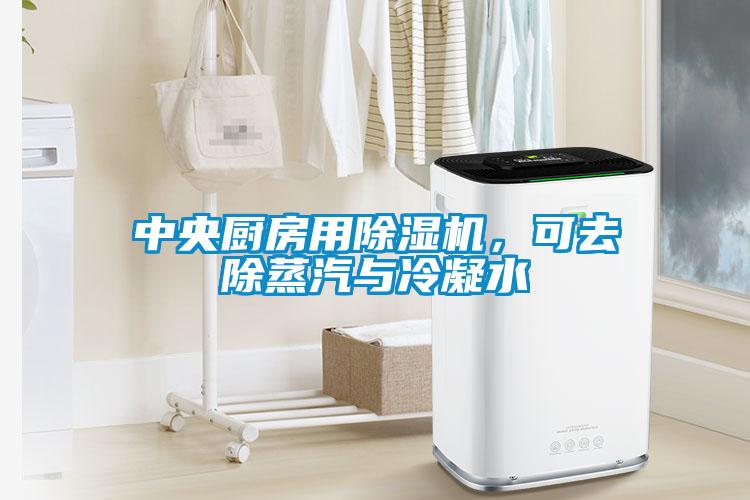 中央廚房用除濕機，可去除蒸汽與冷凝水