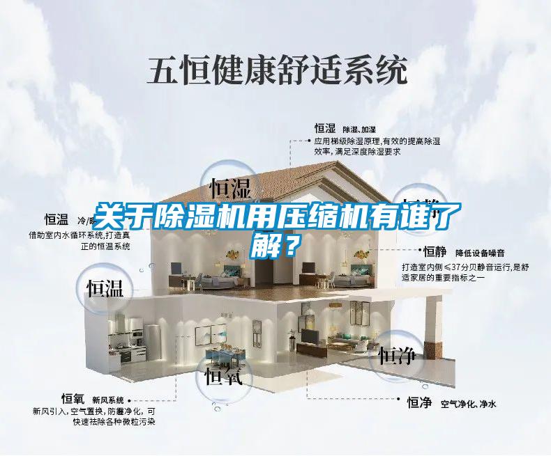 關(guān)于除濕機(jī)用壓縮機(jī)有誰(shuí)了解？