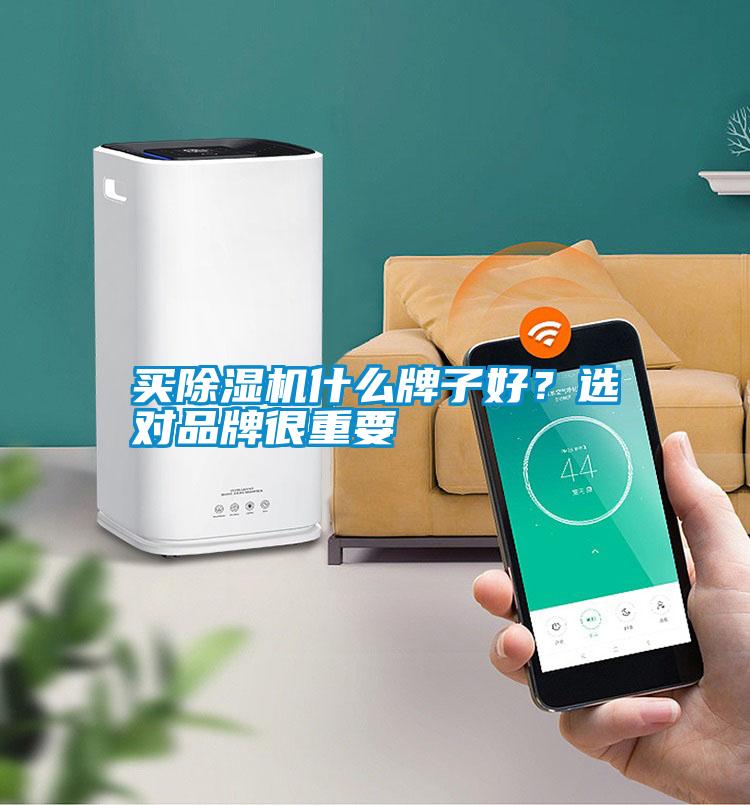 買除濕機什么牌子好？選對品牌很重要