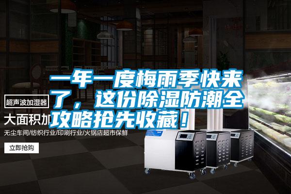 一年一度梅雨季快來了，這份除濕防潮全攻略搶先收藏！