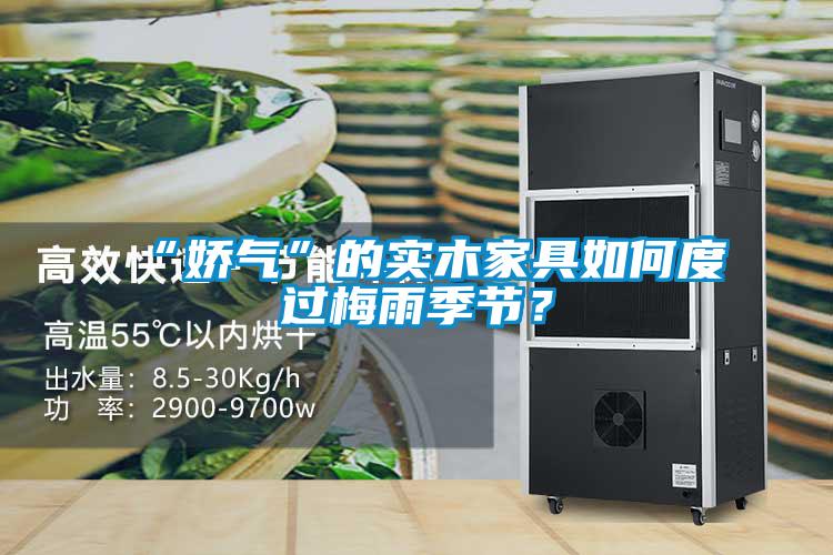 “嬌氣”的實(shí)木家具如何度過梅雨季節(jié)？