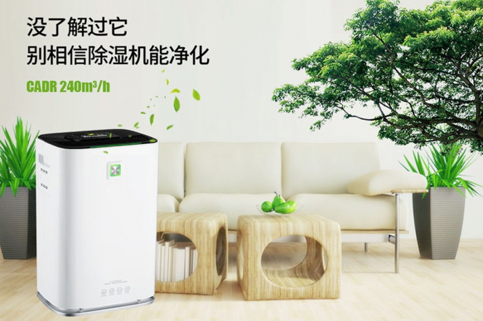 一到回南天狗狗就感冒+皮膚病，怎么辦？