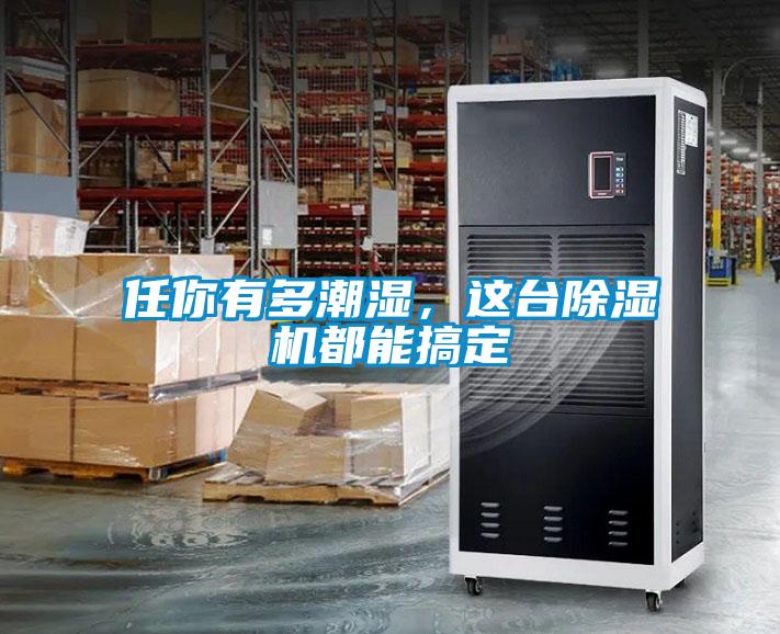 任你有多潮濕，這臺(tái)除濕機(jī)都能搞定