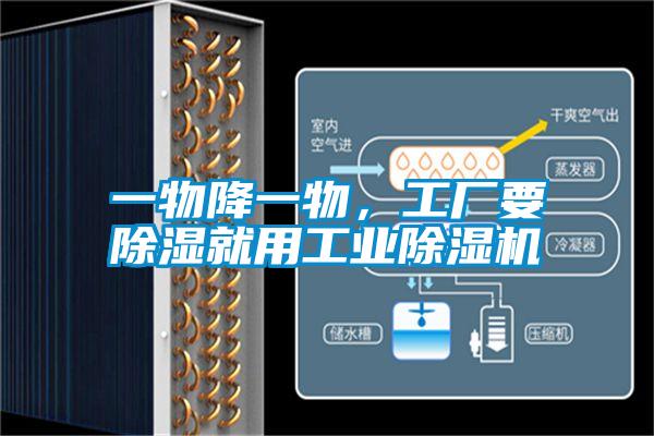 一物降一物，工廠要除濕就用工業(yè)除濕機