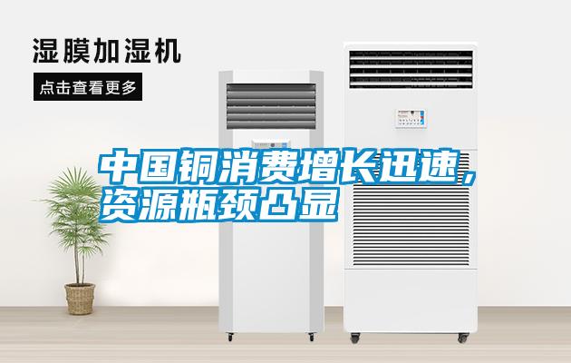 中國銅消費(fèi)增長(zhǎng)迅速，資源瓶頸凸顯