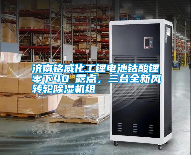 濟(jì)南銘威化工鋰電池鈷酸鋰零下40℃露點(diǎn)，三臺(tái)全新風(fēng)轉(zhuǎn)輪除濕機(jī)組