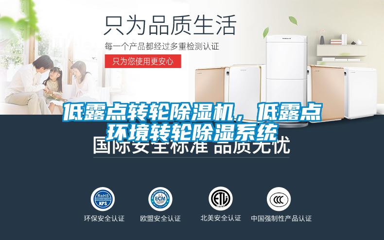 低露點轉(zhuǎn)輪除濕機，低露點環(huán)境轉(zhuǎn)輪除濕系統(tǒng)