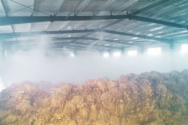 提升煙葉加工質(zhì)量，高效回潮很重要