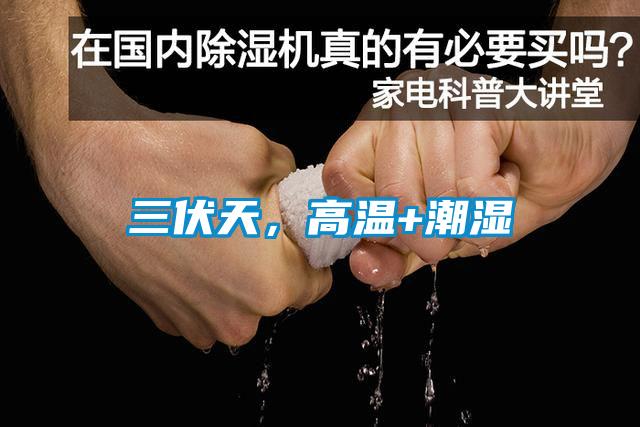 三伏天，高溫+潮濕