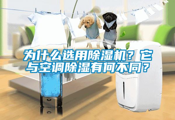 為什么選用除濕機(jī)？它與空調(diào)除濕有何不同？