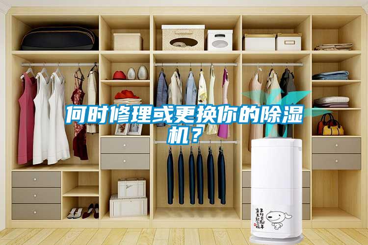 何時(shí)修理或更換你的除濕機(jī)？