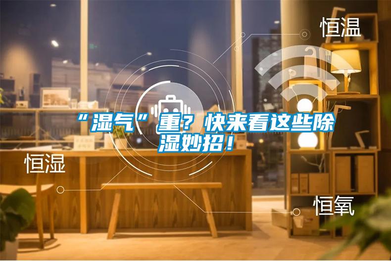 “濕氣”重？快來(lái)看這些除濕妙招！