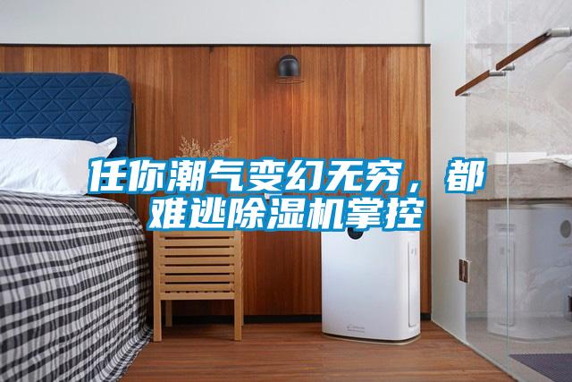 任你潮氣變幻無(wú)窮，都難逃除濕機(jī)掌控