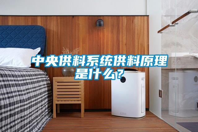 中央供料系統(tǒng)供料原理是什么？