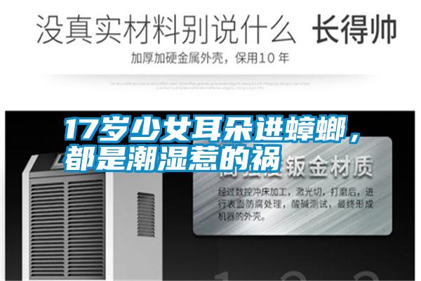 17歲少女耳朵進蟑螂，都是潮濕惹的禍