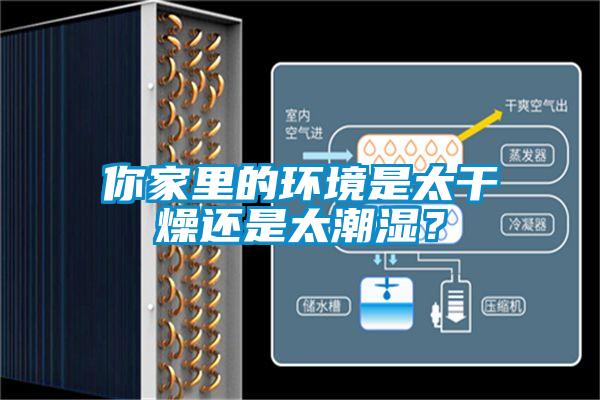 你家里的環(huán)境是太干燥還是太潮濕？