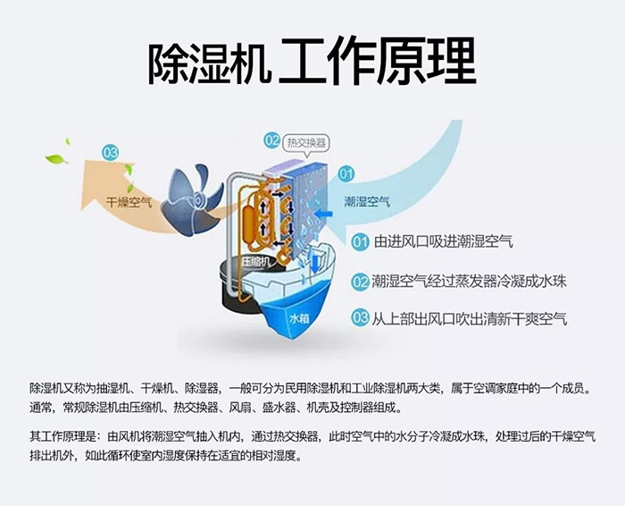 南方梅雨季到了房屋墻壁滲水、返潮怎么辦？