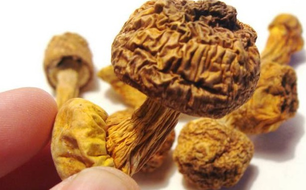 巴西菇、姬松茸烘干機(jī)-怎樣烘干色澤好且菇體褶片完整？