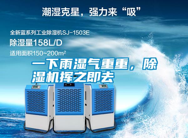 一下雨濕氣重重，除濕機揮之即去