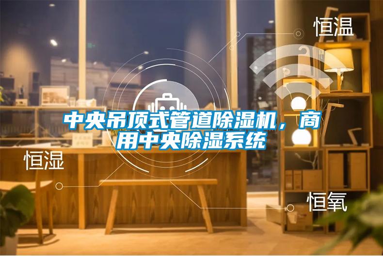 中央吊頂式管道除濕機，商用中央除濕系統(tǒng)