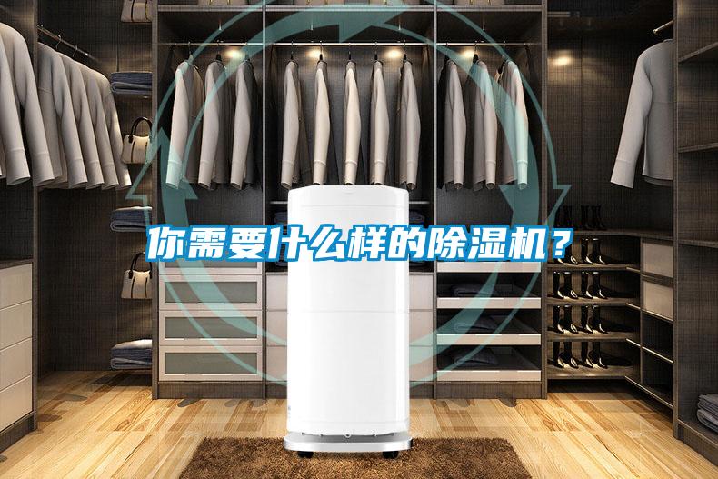 你需要什么樣的除濕機(jī)？