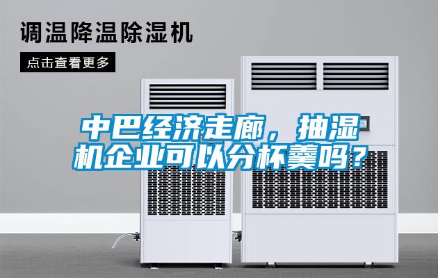 中巴經(jīng)濟走廊，抽濕機企業(yè)可以分杯羹嗎？