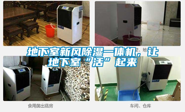 地下室新風除濕一體機，讓地下室“活”起來