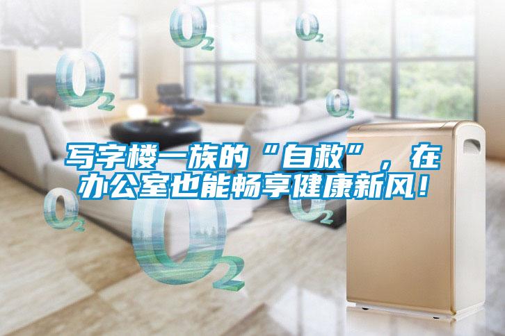 寫字樓一族的“自救”，在辦公室也能暢享健康新風！
