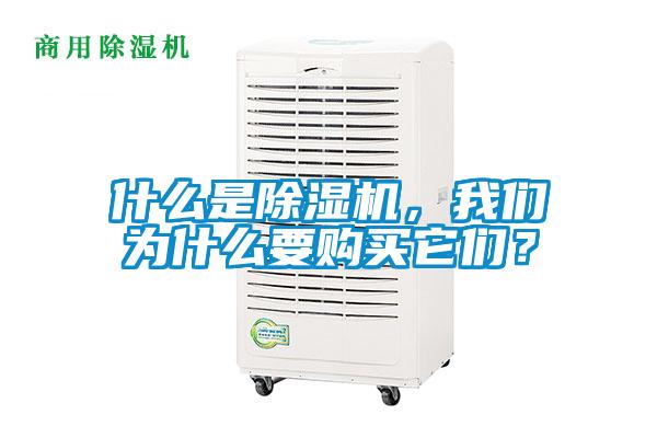 什么是除濕機，我們?yōu)槭裁匆徺I它們？