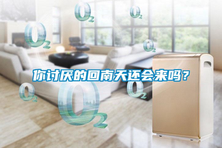 你討厭的回南天還會(huì)來嗎？