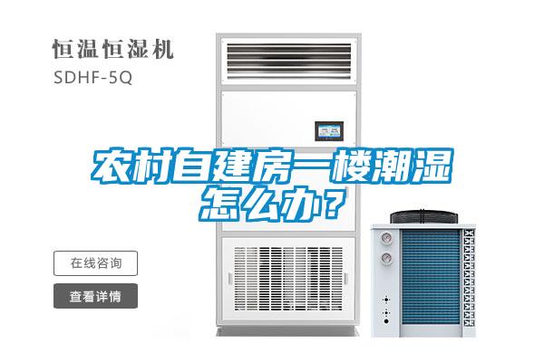 農(nóng)村自建房一樓潮濕怎么辦？