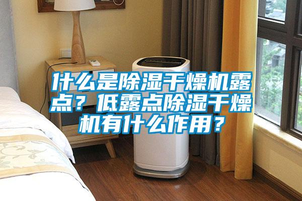 什么是除濕干燥機露點？低露點除濕干燥機有什么作用？