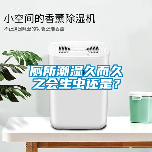 廁所潮濕久而久之會(huì)生蟲還是？