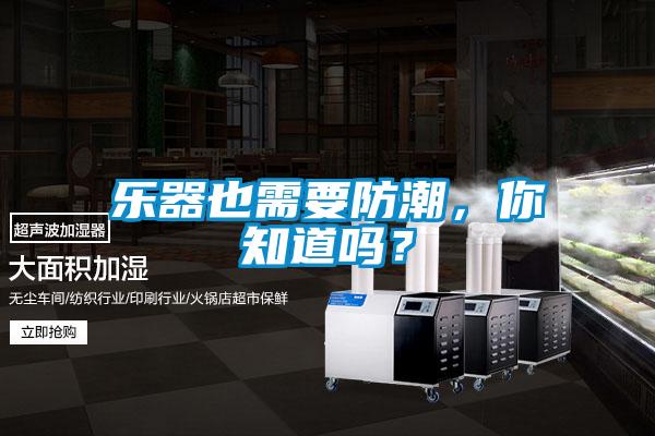 樂器也需要防潮，你知道嗎？