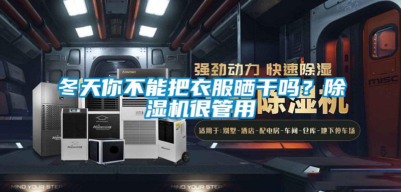 冬天你不能把衣服曬干嗎？除濕機(jī)很管用