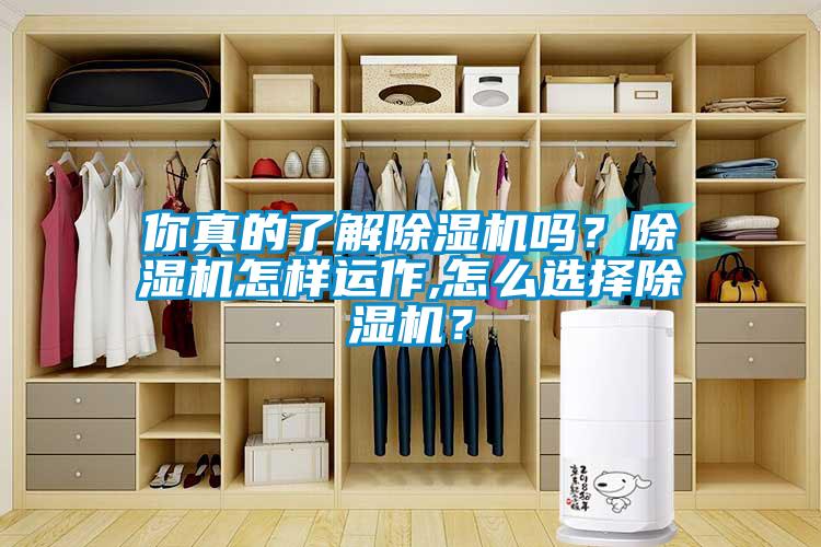 你真的了解除濕機(jī)嗎？除濕機(jī)怎樣運(yùn)作,怎么選擇除濕機(jī)？