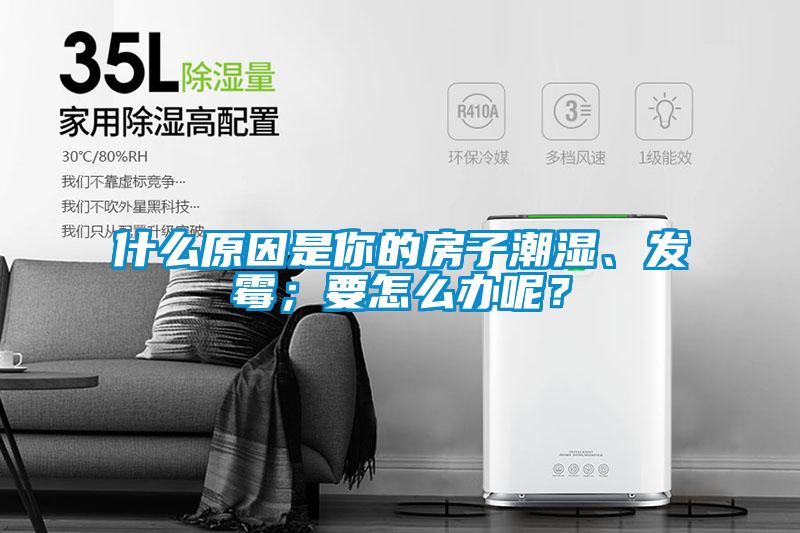 什么原因是你的房子潮濕、發(fā)霉；要怎么辦呢？