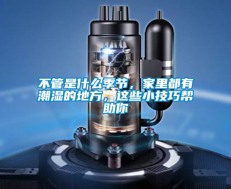 不管是什么季節(jié)，家里都有潮濕的地方，這些小技巧幫助你