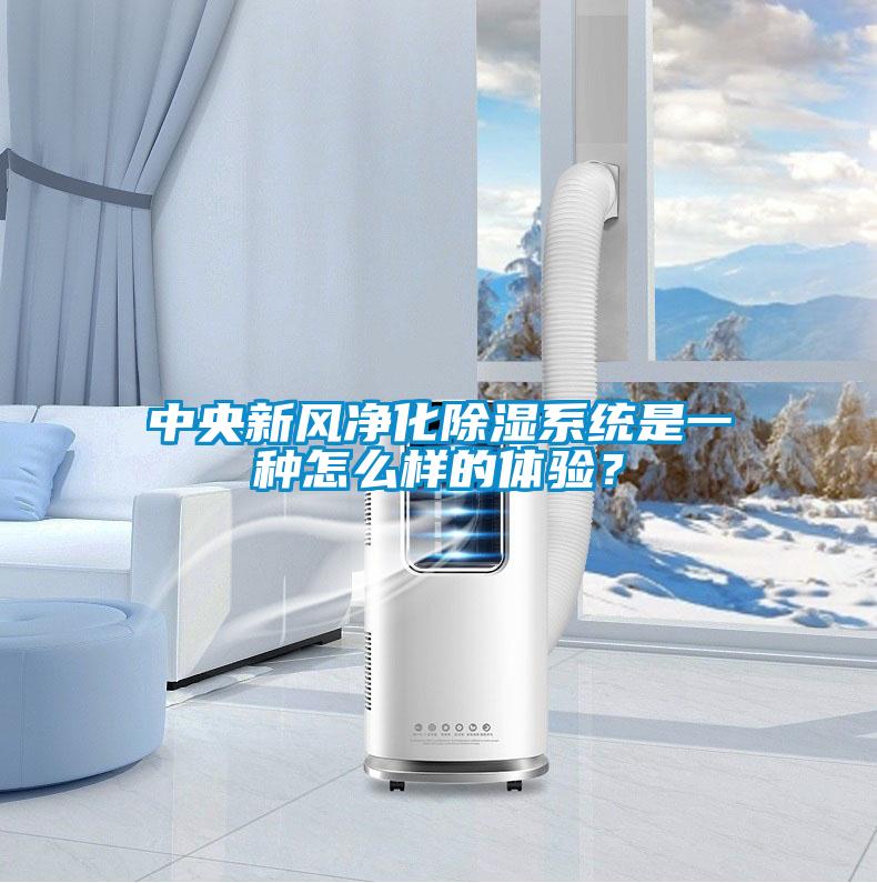 中央新風凈化除濕系統(tǒng)是一種怎么樣的體驗？