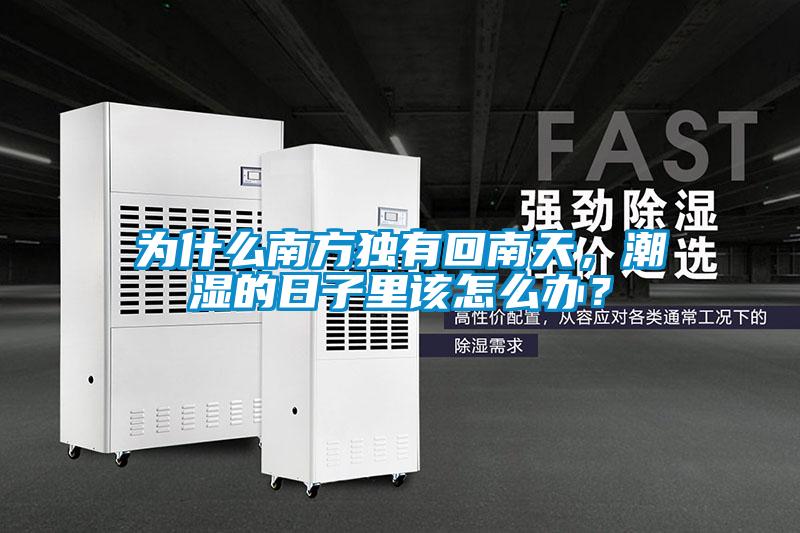 為什么南方獨有回南天，潮濕的日子里該怎么辦？