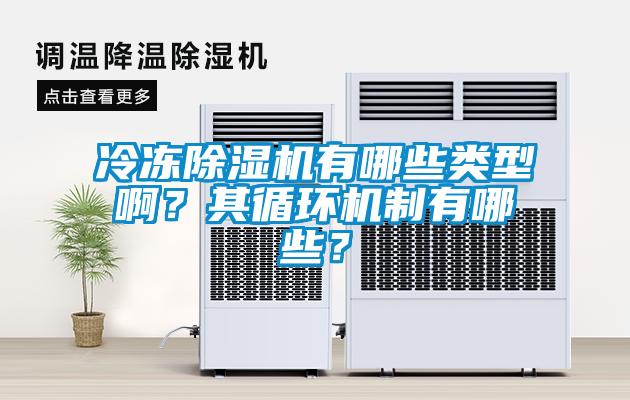 冷凍除濕機(jī)有哪些類型啊？其循環(huán)機(jī)制有哪些？