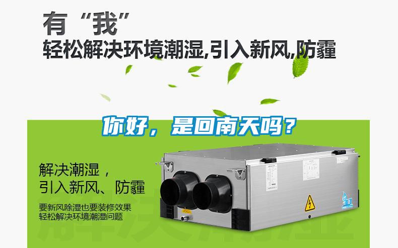 你好，是回南天嗎？