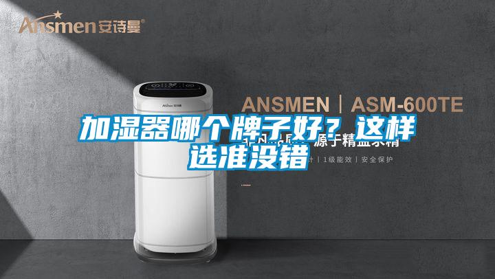 加濕器哪個(gè)牌子好？這樣選準(zhǔn)沒錯(cuò)